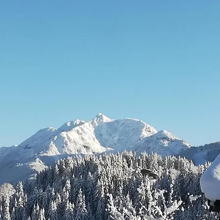 Διαμέρισμα Haus Horngacher