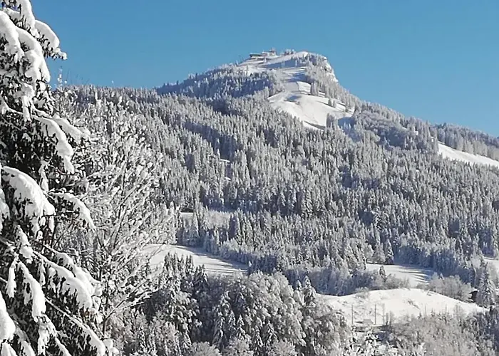 Appartamento Haus Horngacher *