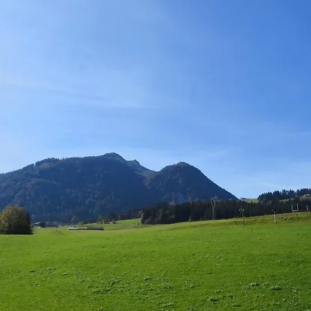 Haus Horngacher Apartment *