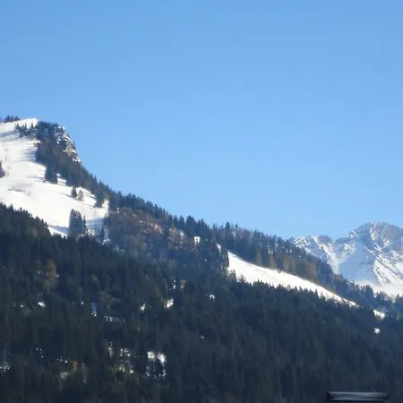 Apartment Haus Horngacher Fieberbrunn