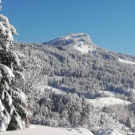 Apartment Haus Horngacher *